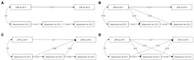 Lack of bidirectional association between C-reactive protein and depressive symptoms in middle-aged and older adults: Results from a nationally representative prospective cohort study